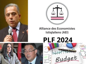 PLF 2024 : Les 10 recommandations de l'AEI