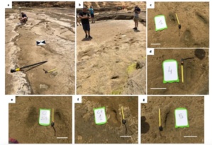 Traces du passé: Les plus anciennes empreintes humaines d'Afrique du Nord révèlent l'histoire à Larache