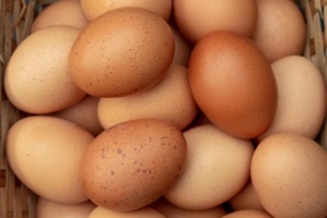 Cuisine : quelle est la durée de vie des œufs ?
