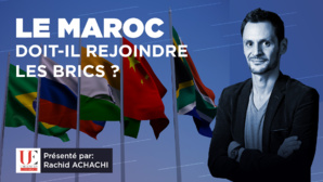 Les BRICS+ : Une alliance de matières premières ou Club économique ?