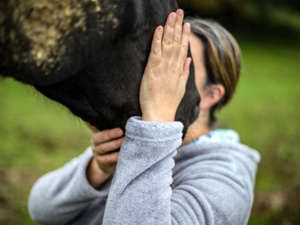 Barbarie sans nom : une cavalière attaquée, son cheval poignardé à mort