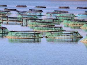 Révolution Bleue : Le Maroc Plaide pour l’Avenir des Océans Africains