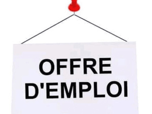 Emploi: des chiffres encourageants mais des défis persistants