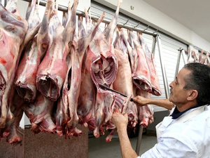 Sécurité alimentaire : le Maroc face à la crise de la viande