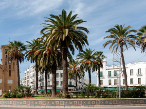 La poésie africaine s’invite à Tétouan pour célébrer la langue arabe