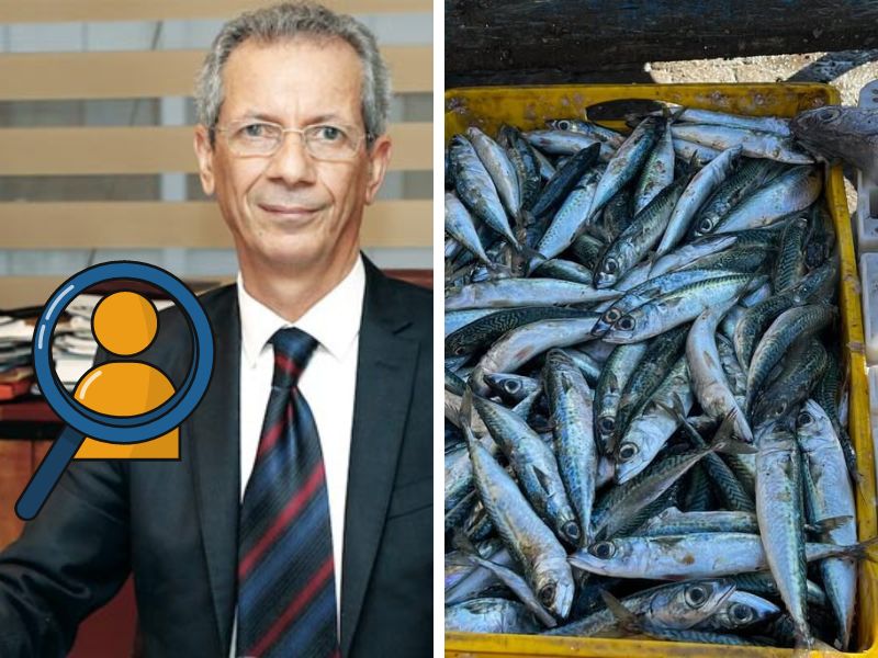 Le marché de l’approvisionnement en sardine dans le viseur du Conseil de la Concurrence