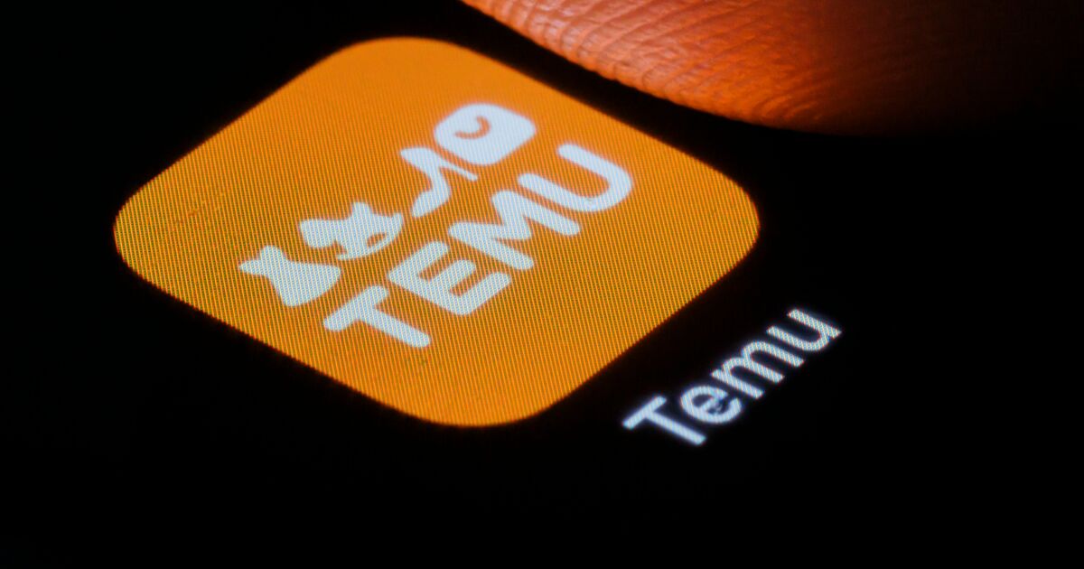 Temu : la face cachée de la marketplace chinoise à succès