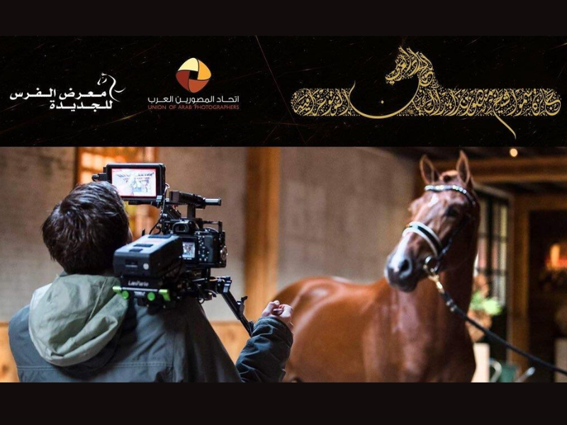 10ème Prix de Photographie Cheikh Mansour Ben Zayed Al Nahyane : focus sur le Pur-sang arabe