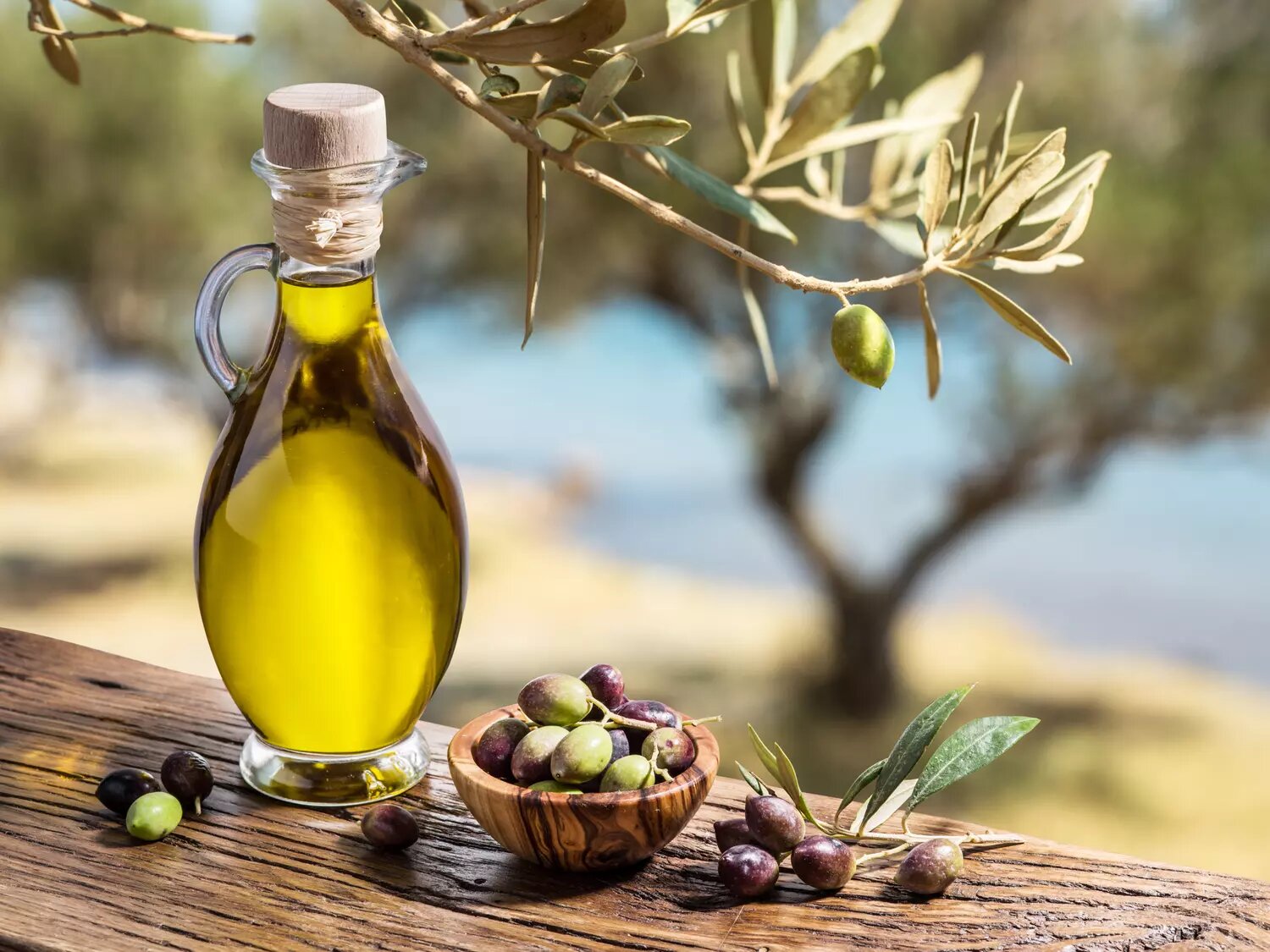 Pénurie d’Huile d’Olive : Vers une flambée des prix ?