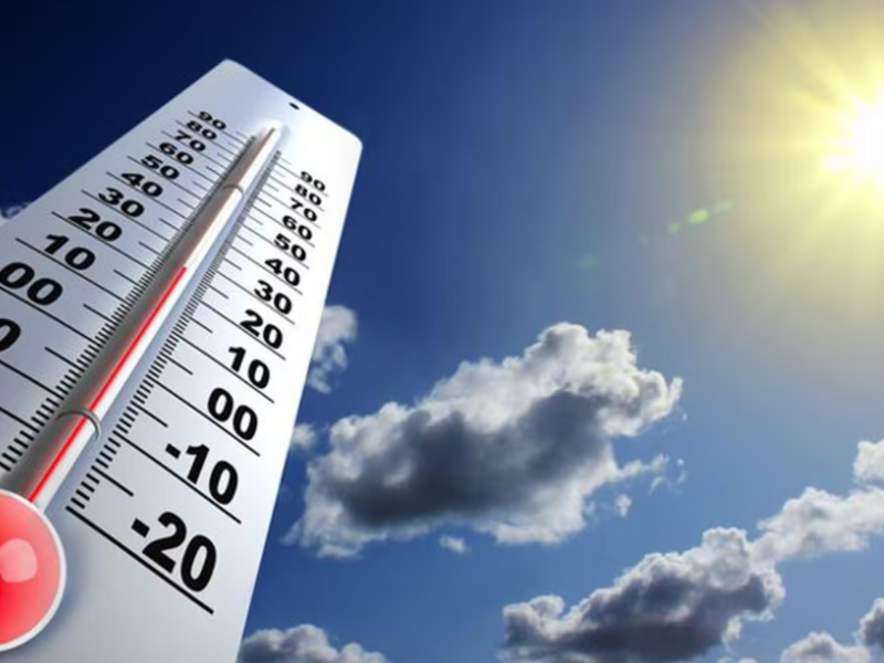 Canicule au Maroc :Températures records et défis climatiques