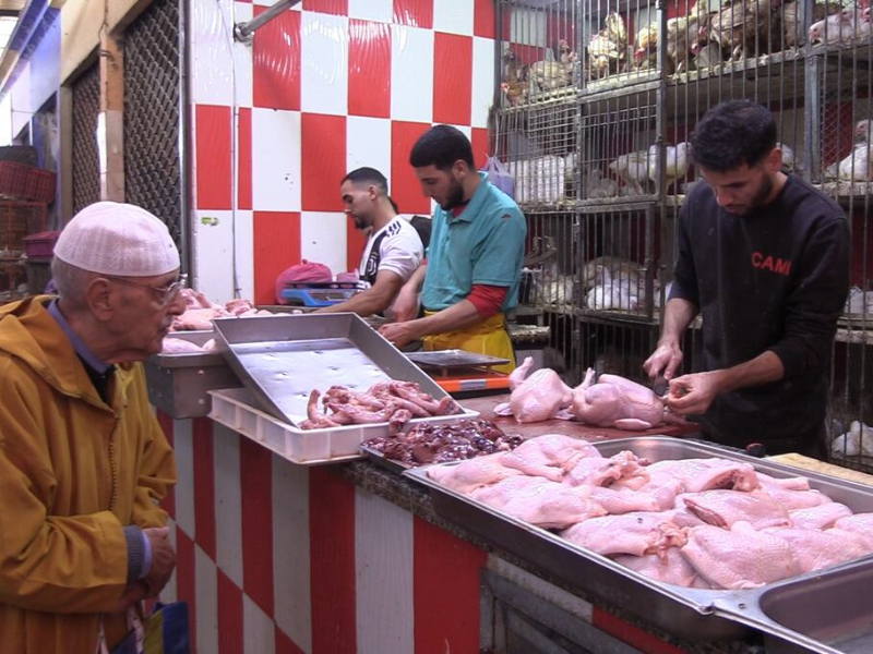 Crise avicole : le prix du poulet s'envole, les Marocains souffrent