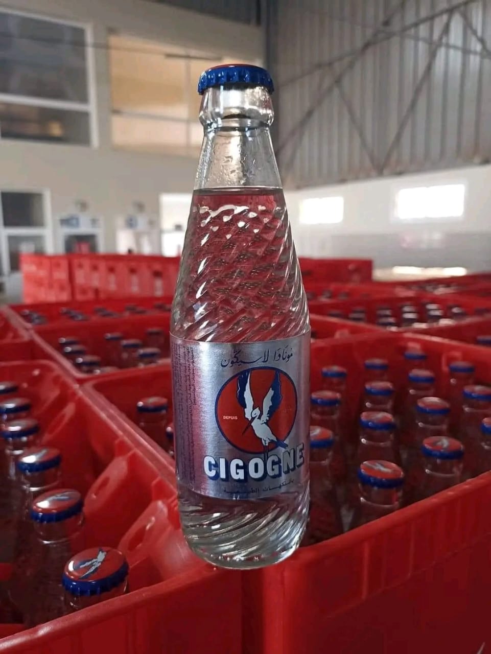 Nostalgie en bouteille : La Cigogne ressuscitée au Maroc