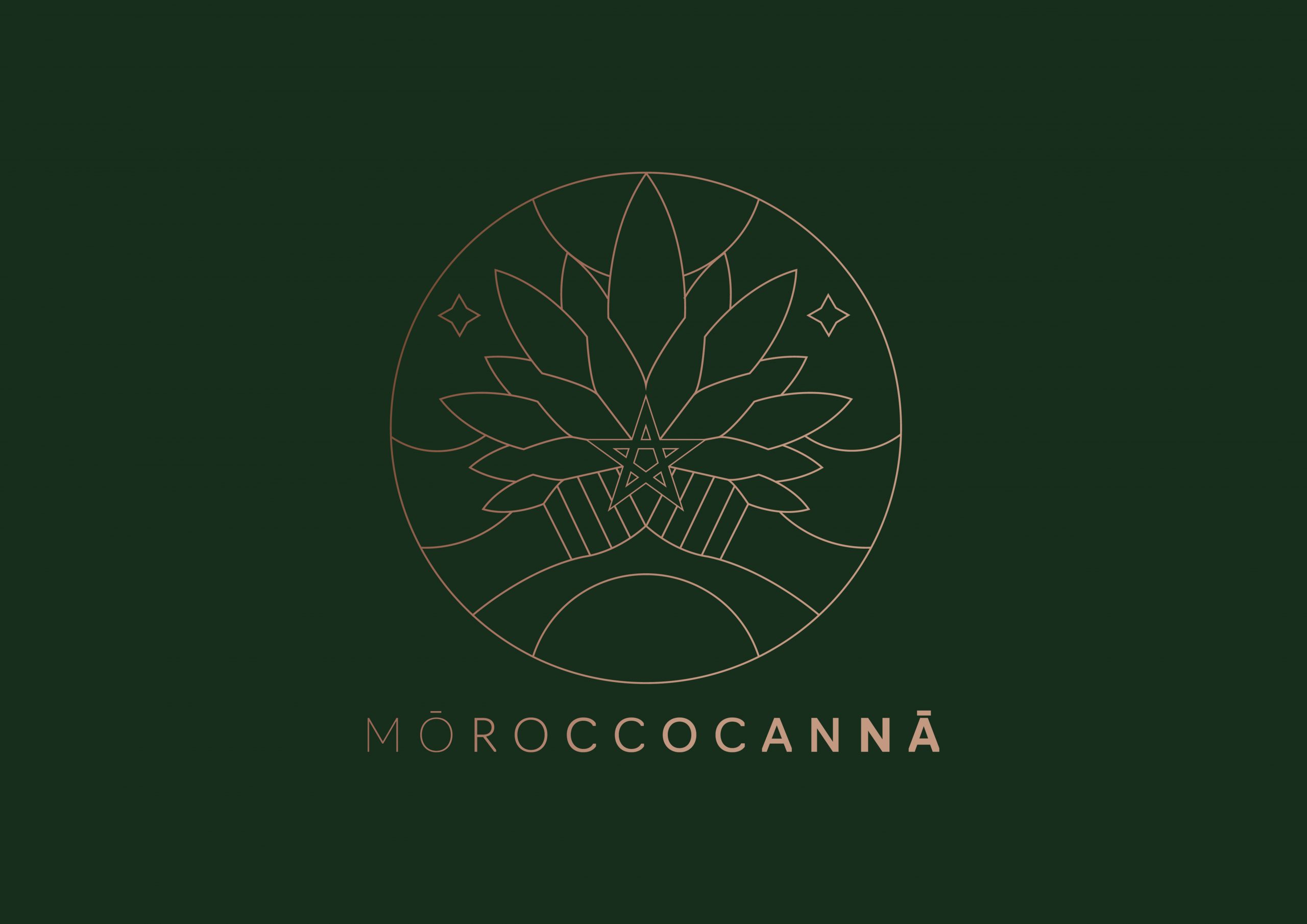 ​Moroccocanna : Un engagement social et éthique dans la filière médicale du cannabis au Maroc