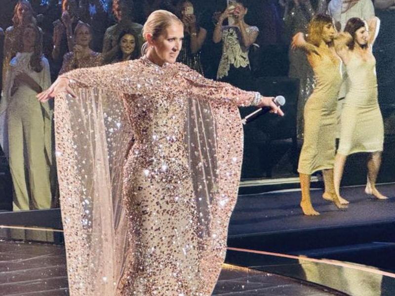  Céline Dion éblouit au défilé d'Elie Saab à Riyad