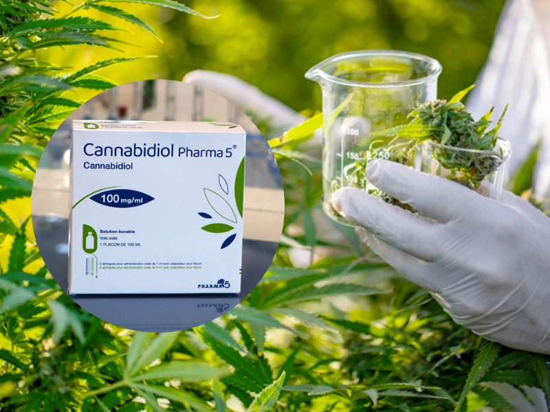 Pharma 5 commercialise un médicament à base de cannabidiol