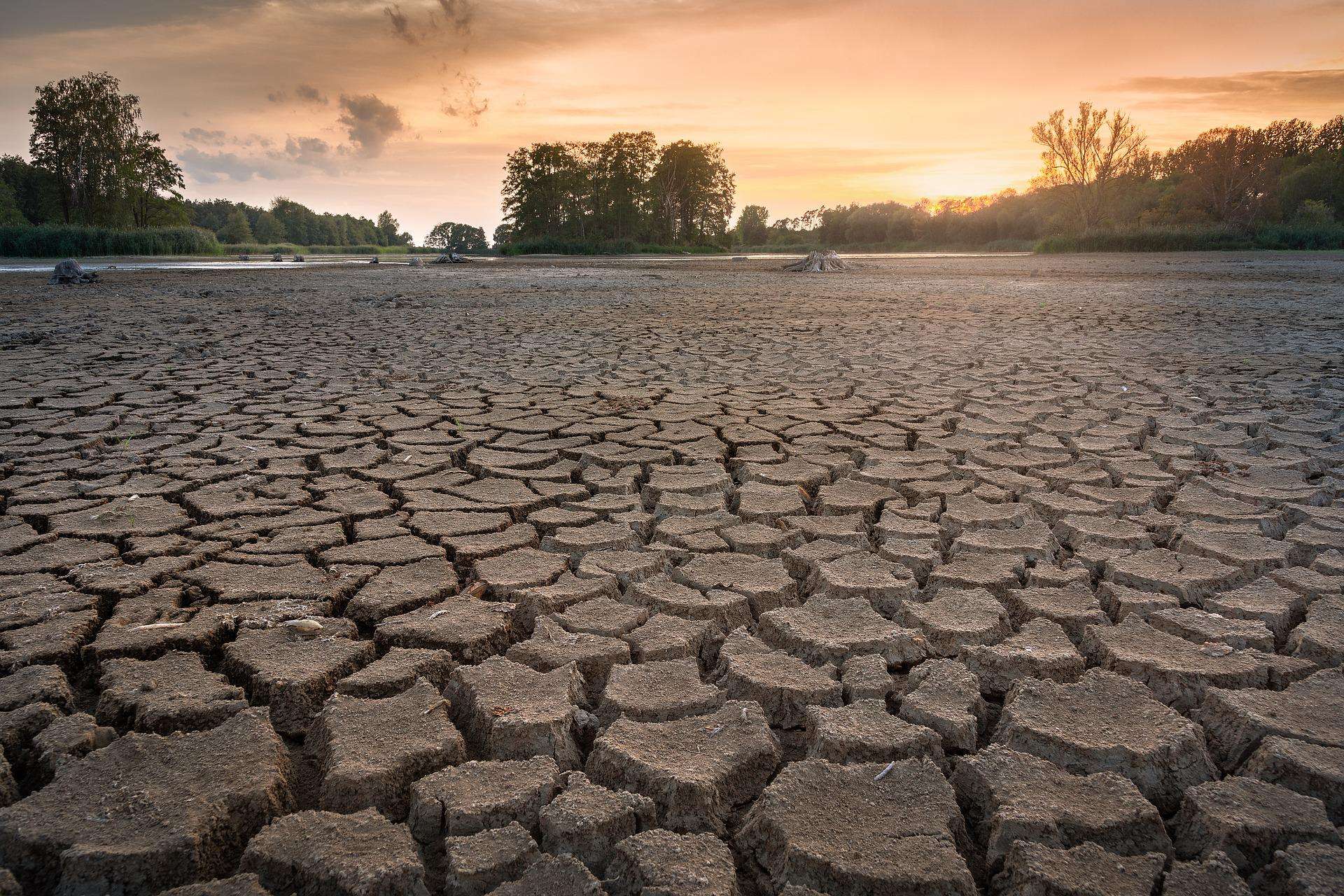 Sécheresses et inondations au menu de l'horoscope climatique de 2025 