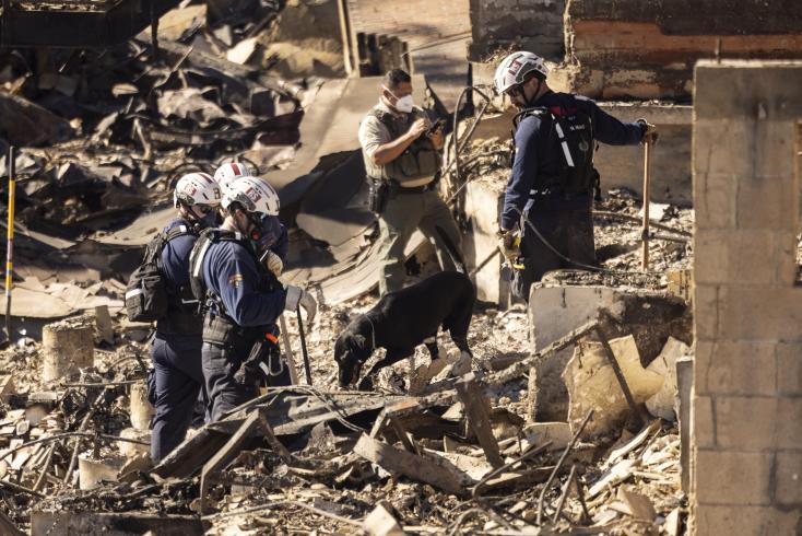 Un chien renifleur et des pompiers à la recherche de corps enfouis sous les décombres de l'incendie de Los Angeles, en Californie, le 14 janvier 2025. © Étienne Laurent, AFP