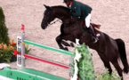 Semaine du cheval 2024 : Abdelkebir Ouaddar remporte le Grand Prix de SM le Roi Mohammed VI