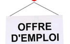 Emploi: des chiffres encourageants mais des défis persistants