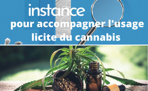 Une instance pour accompagner les usages licites du cannabis