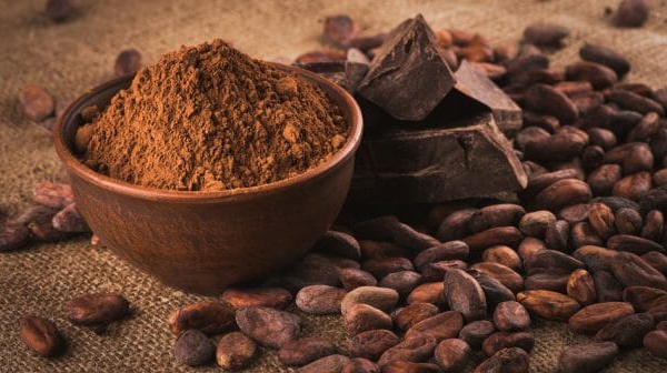 La poudre de cacao nous aide à maigrir ! 