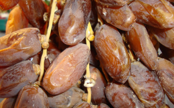 Boycott de dattes algériennes pour rendre justice aux agriculteurs de Figuig
