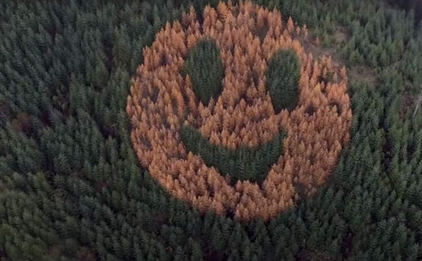 Un smiley géant apparait dans une forêt de l'Oregon