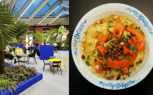 Un maire français crée le Minorelle, un jardin inspiré par le Jardin Majorelle à Marrakech