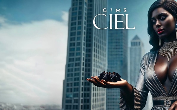 GIMS - CIEL