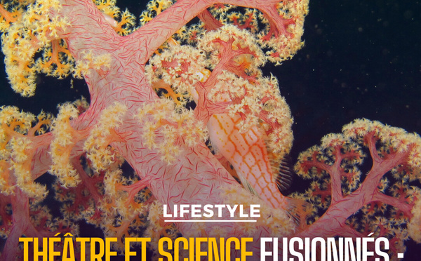 Exploration inédite : entre art et science, plongée dans les océans avec ‘Extrêmophile’