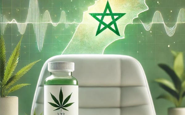 Documentaire : un futur médicament à base de cannabis thérapeutique marocain bouleversera les traitements contre l'Épilepsie 