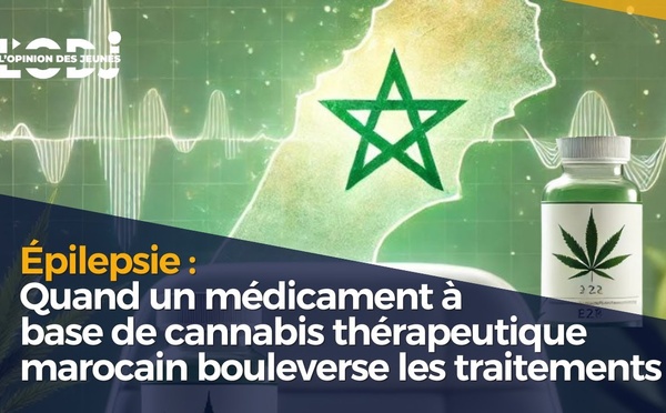 Documentaire : un futur médicament à base de cannabis thérapeutique marocain bouleversera les traitements contre l'Épilepsie 