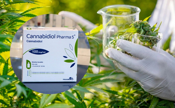 Pharma 5 commercialise un médicament à base de cannabidiol