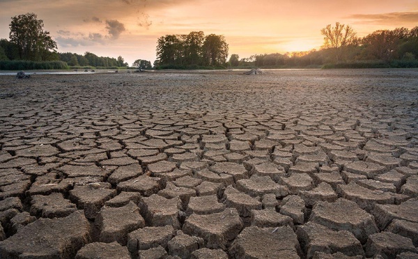 Sécheresses et inondations au menu de l'horoscope climatique de 2025 