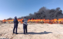 Dakhla : plus de 20 tonnes de résine de Cannabis incinérées