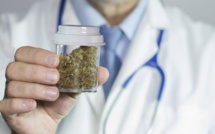 Fès: L’USMBA et Laprophan s’associent dans la recherche sur le cannabis médical