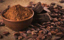 La poudre de cacao nous aide à maigrir ! 