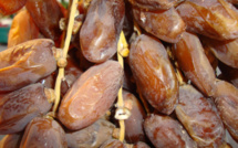 Boycott de dattes algériennes pour rendre justice aux agriculteurs de Figuig