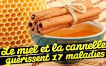 Les vertus de la cannelle et du miel