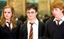 Harry Potter : Chris Columbus veut retrouver les acteurs pour la suite !