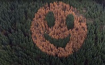 Un smiley géant apparait dans une forêt de l'Oregon