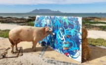 Le tableau du cochon Pigcasso a été vendu à 23 500 €