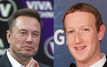 Combat entre Mark Zuckerberg et Elon Musk : ils commencent les entraînements