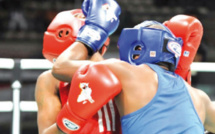 Tournoi de boxe qualificatif aux JO : les boxeurs marocains réalisent une excellente performanc