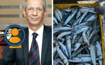 Le marché de l’approvisionnement en sardine dans le viseur du Conseil de la Concurrence
