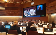 Des associations marocaines à la 17ème session du MEDPA à Genève
