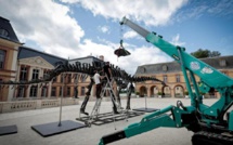 "Vulcain" : le plus grand dinosaure jamais mis aux enchères