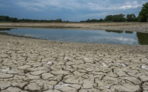 Drâa-Tafilalet : les pluies ravivent l'espoir, mais laissent un goût amer