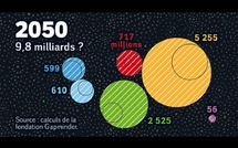 Chocs démographiques et chocs géopolitiques : quel monde en 2050 ?