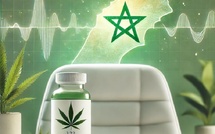 Documentaire : un futur médicament à base de cannabis thérapeutique marocain bouleversera les traitements contre l'Épilepsie 